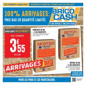 Brico Cash - CATALOGUE 100% ARRIVAGES
