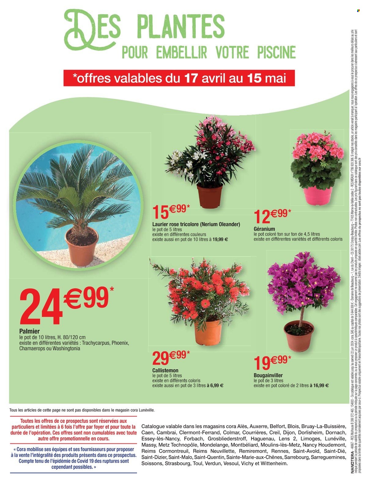 thumbnail - Catalogue Cora - 09/04/2024 - 22/06/2024 - Produits soldés - Vichy, palmier, laurier rose, chamaerops. Page 26.