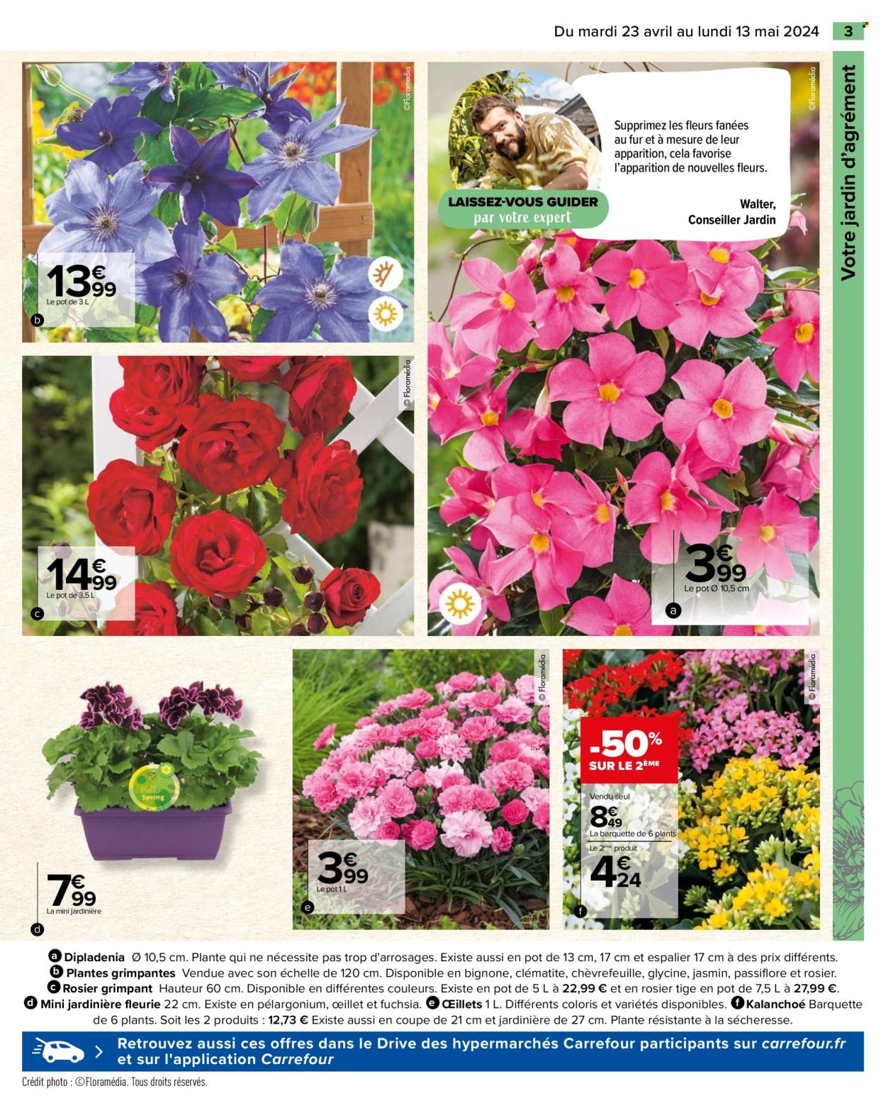 thumbnail - Catalogue Carrefour Hypermarchés - 23/04/2024 - 13/05/2024 - Produits soldés - fleur, dipladenia, rosier, kalanchoé, jardinière. Page 5.