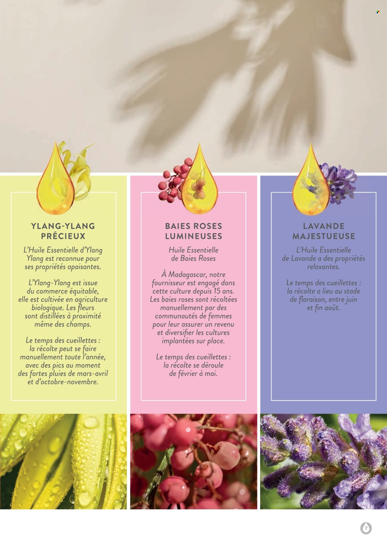 Catalogue Stanhome. Page 7