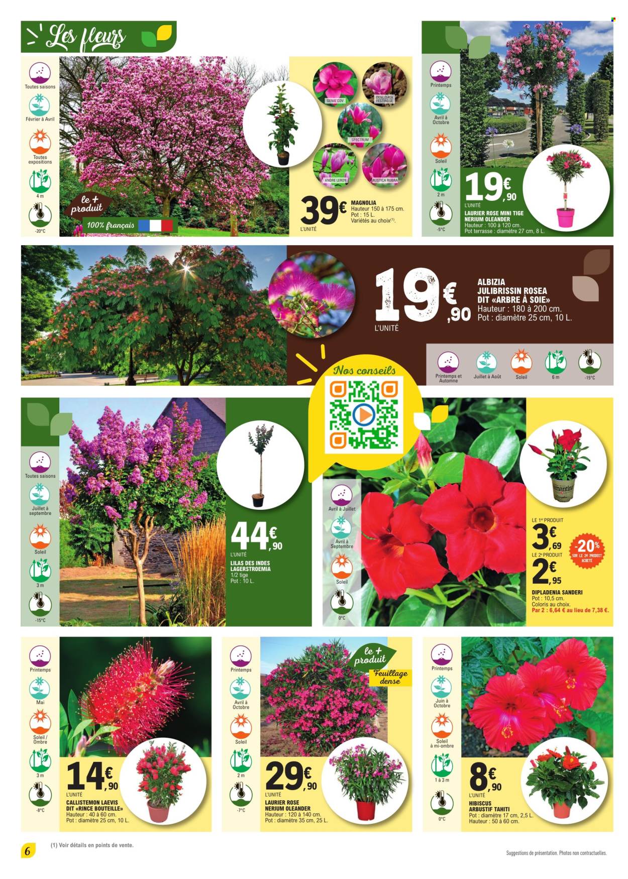 thumbnail - Catalogue E.Leclerc - 23/04/2024 - 11/05/2024 - Produits soldés - Tahiti, fleur, laurier rose, dipladenia, hibiscus. Page 6.