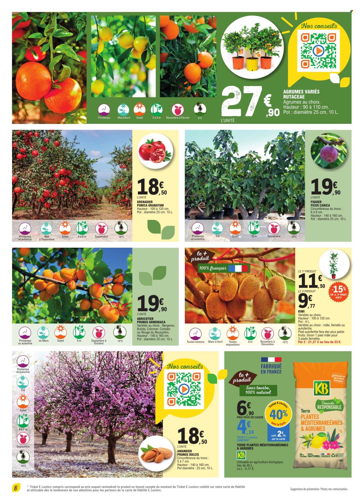 thumbnail - Catalogue E.Leclerc - 23/04/2024 - 11/05/2024 - Produits soldés - kiwi, figuier, plantes vertes, agrumes, amandier, grenadier, buisson fruitier. Page 8.