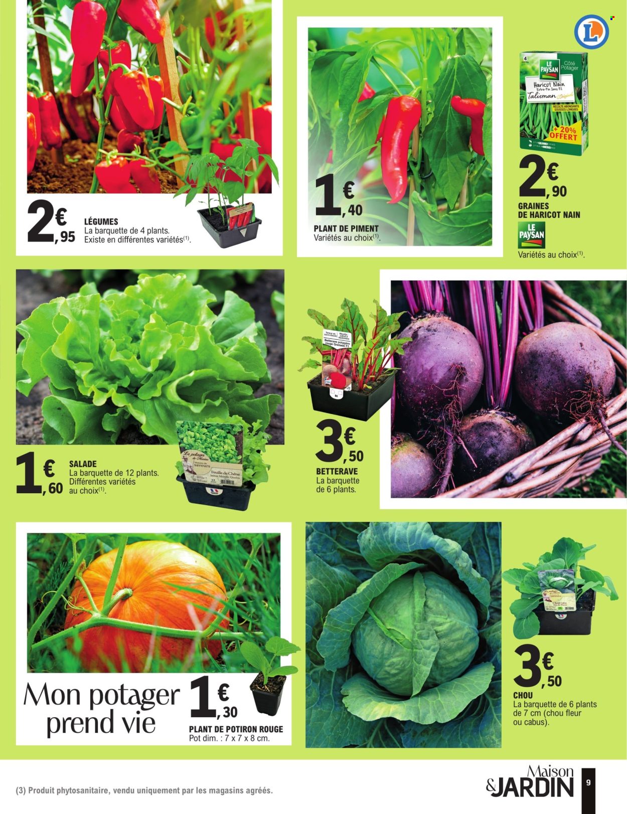 thumbnail - Catalogue E.Leclerc - 23/04/2024 - 05/05/2024 - Produits soldés - grenade, salade, potimarron, feuille de chêne, sucre, maison, fleur. Page 9.