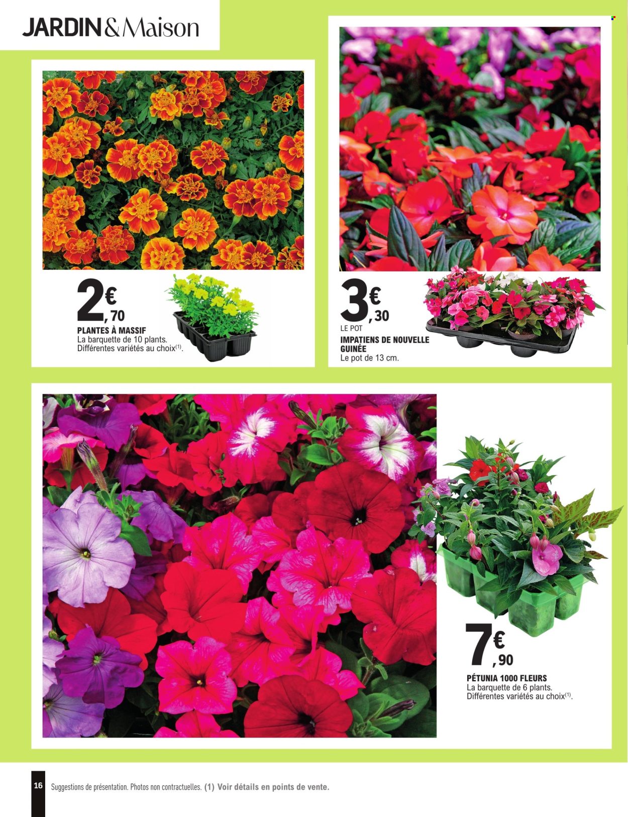 thumbnail - Catalogue E.Leclerc - 23/04/2024 - 05/05/2024 - Produits soldés - maison, fleur, plantes vivaces. Page 16.