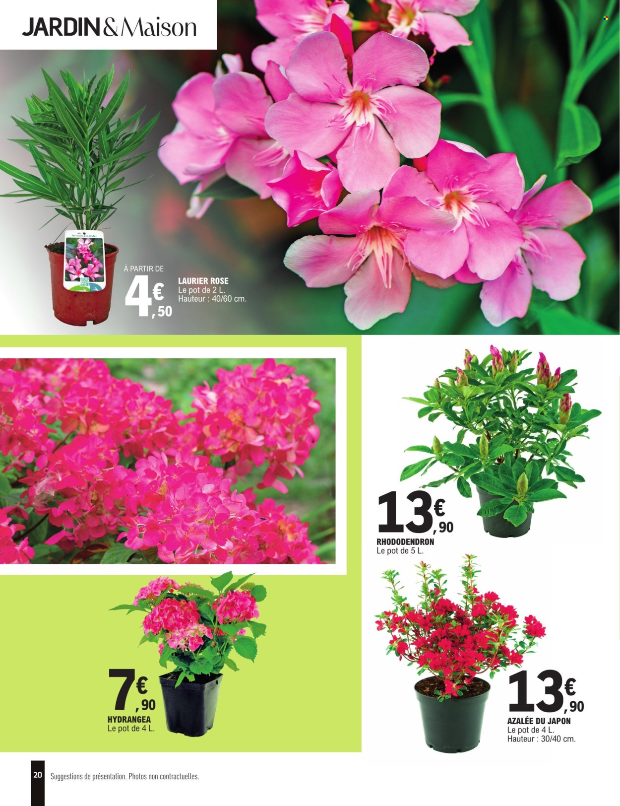 thumbnail - Catalogue E.Leclerc - 23/04/2024 - 05/05/2024 - Produits soldés - maison, azalée, hortensia, rhododendron, laurier rose. Page 20.