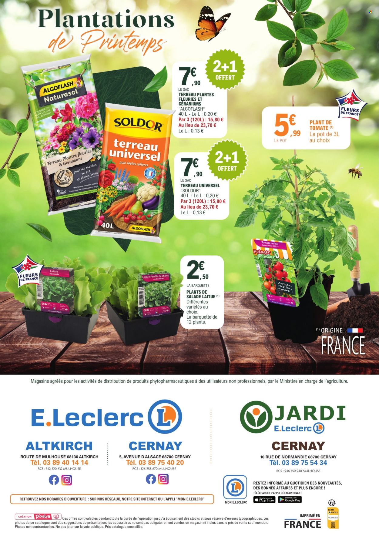 thumbnail - Catalogue E.Leclerc - 22/04/2024 - 04/05/2024 - Produits soldés - tomates, feuille de chêne, sac à main, terreau, plante fleurie, Algoflash. Page 4.