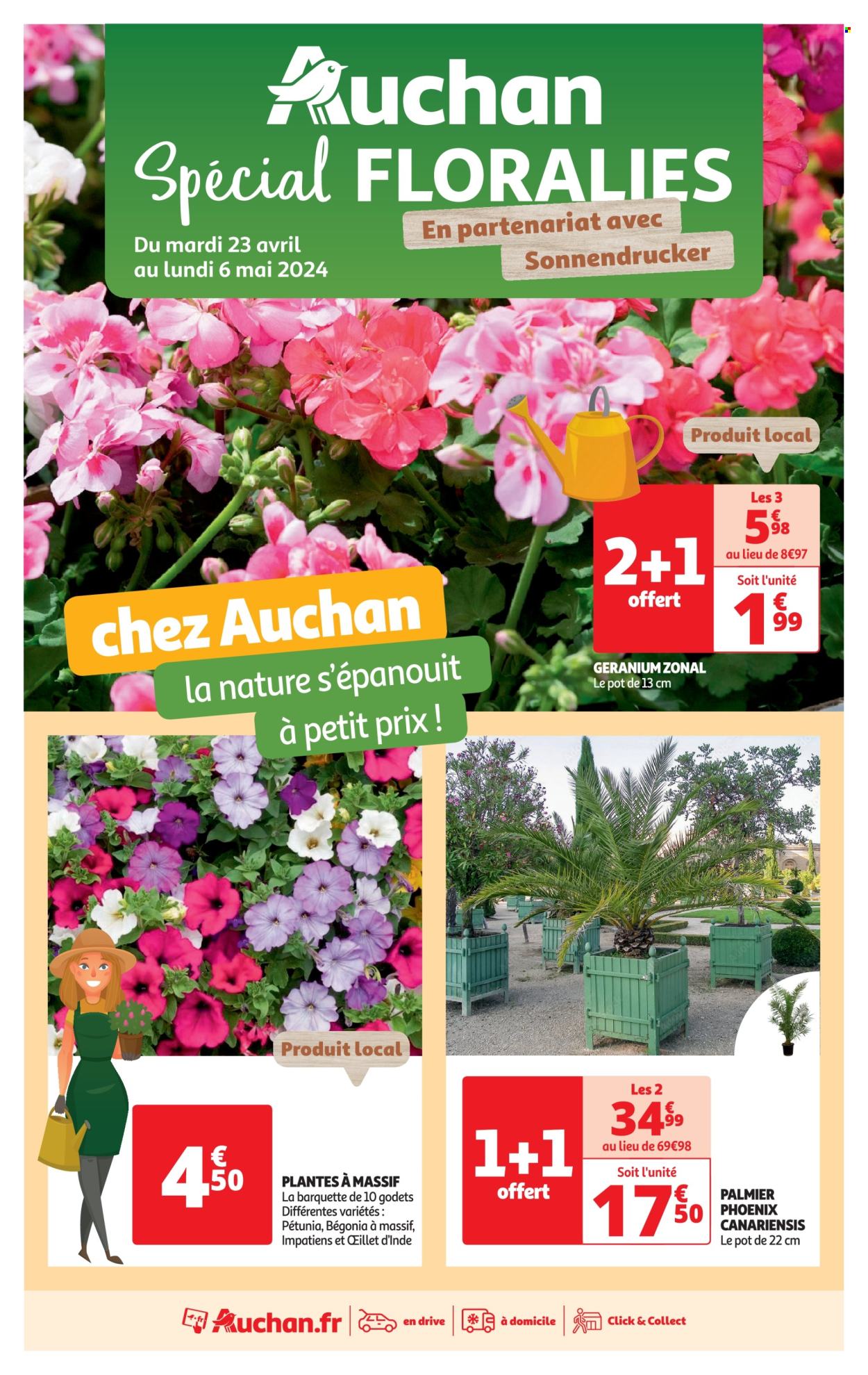 thumbnail - Catalogue Auchan - 23/04/2024 - 06/05/2024 - Produits soldés - fleur, palmier, plantes vivaces, phoenix canariensis. Page 1.