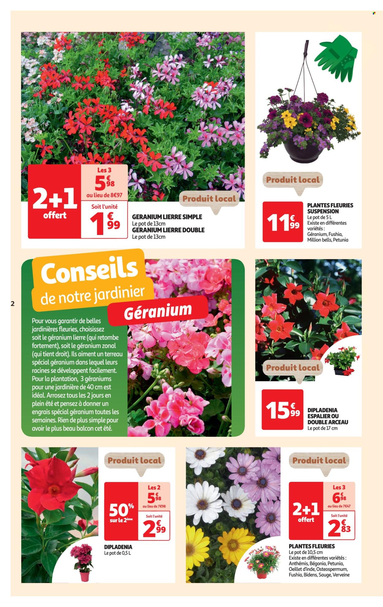 thumbnail - Catalogue Auchan - 23/04/2024 - 06/05/2024 - Produits soldés - sauge, fleur, terreau, engrais, plante fleurie, dipladenia, jardinière. Page 2.