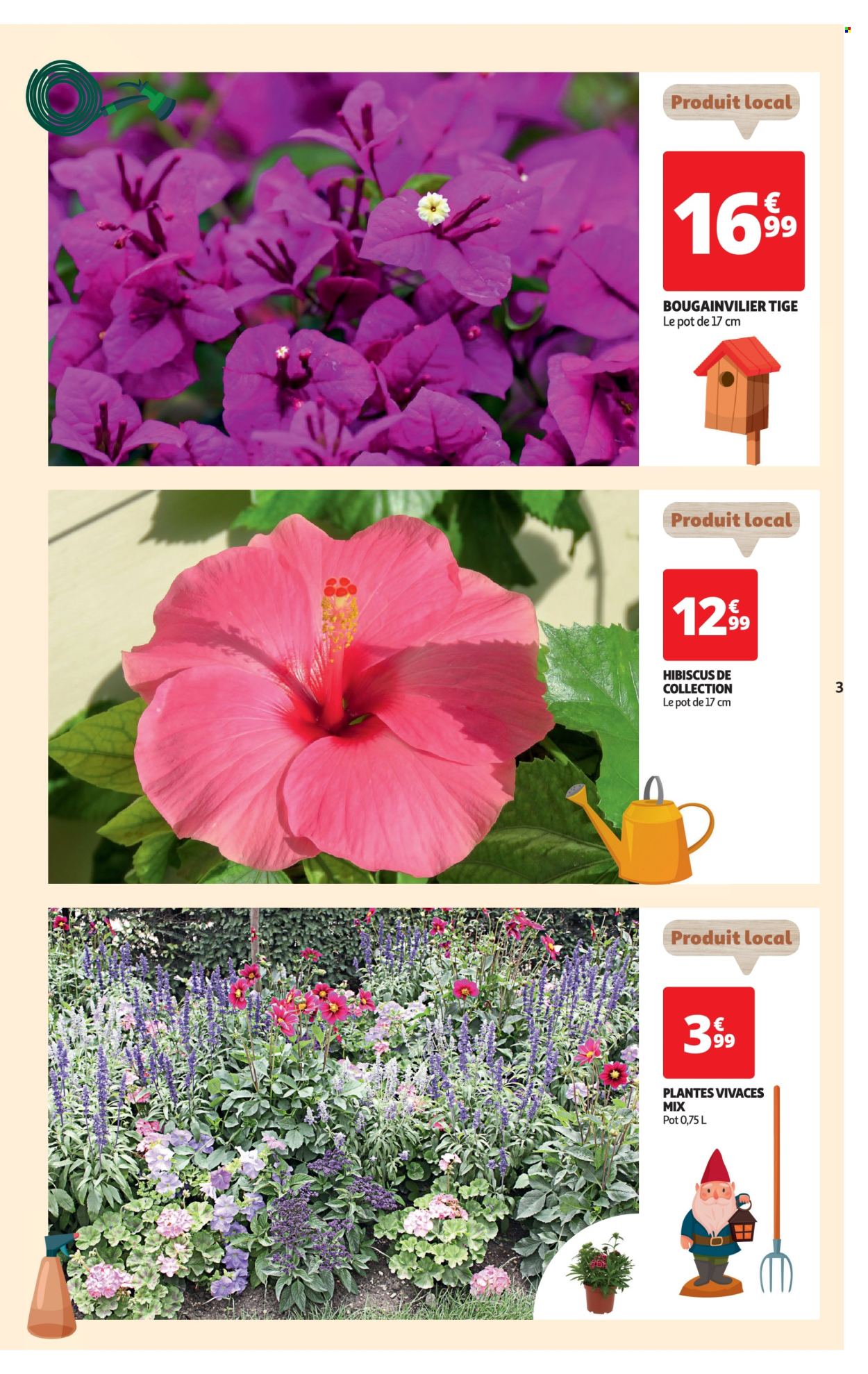 thumbnail - Catalogue Auchan - 23/04/2024 - 06/05/2024 - Produits soldés - plantes vivaces, hibiscus. Page 3.