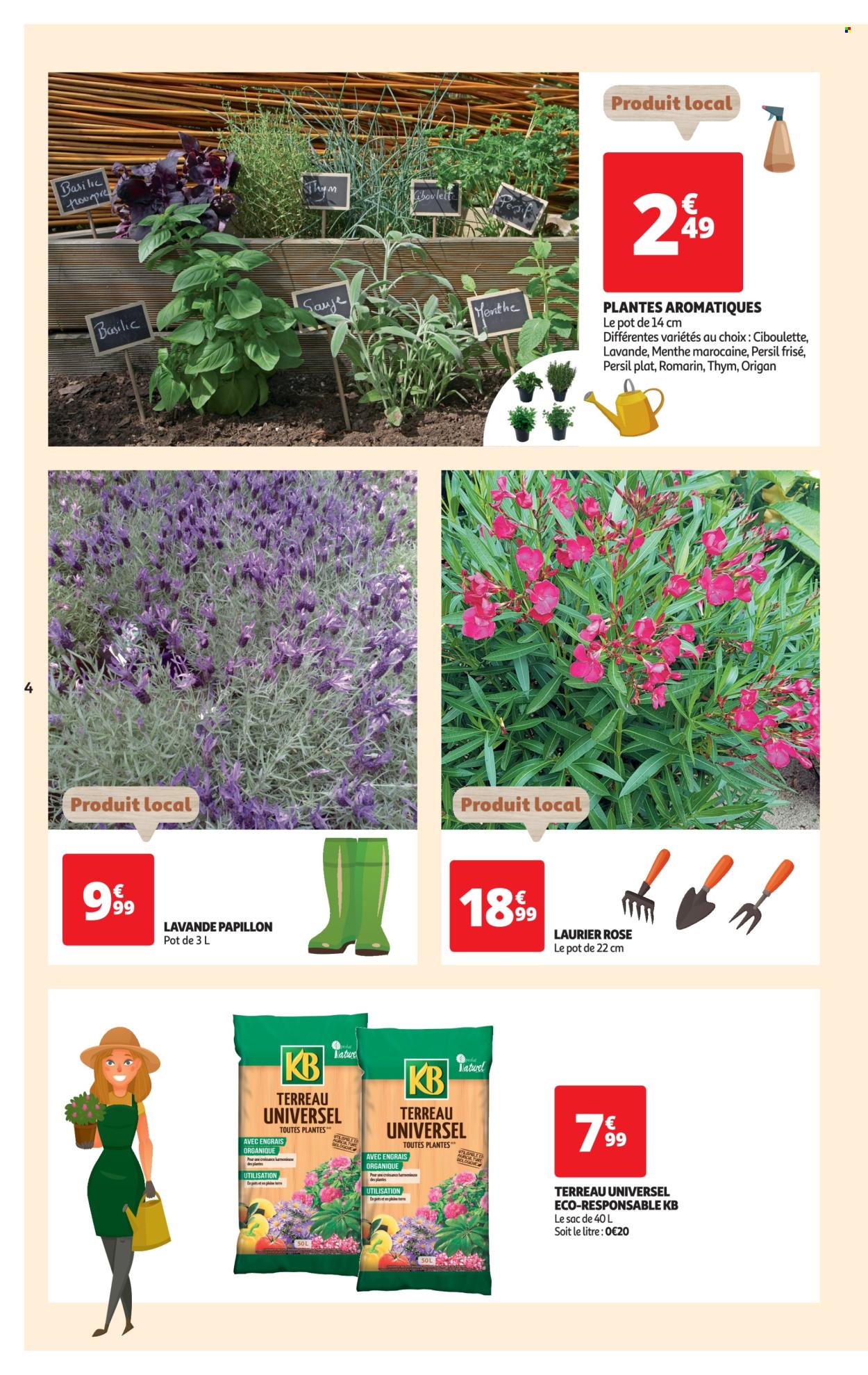 thumbnail - Catalogue Auchan - 23/04/2024 - 06/05/2024 - Produits soldés - ciboulette, basilic, thym, menthe, origan, persil, romarin, fleur, terreau, laurier rose, lavande. Page 4.