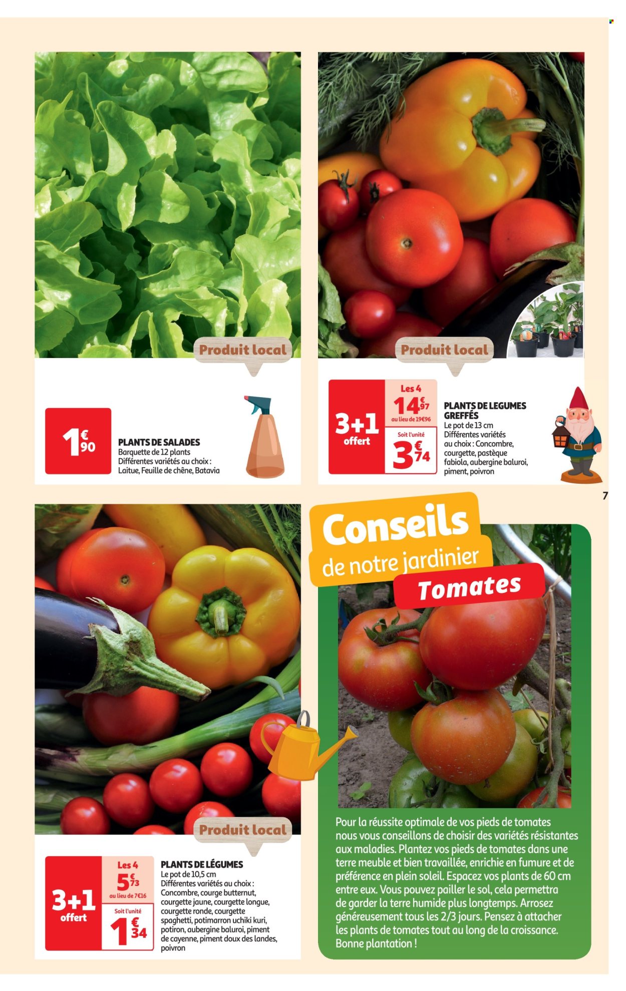 thumbnail - Catalogue Auchan - 23/04/2024 - 06/05/2024 - Produits soldés - aubergine, salade batavia, butternut, concombre, courge, courgette, potimarron, poivrons, piment, pastèque, feuille de chêne, spaghetti, fleur. Page 7.