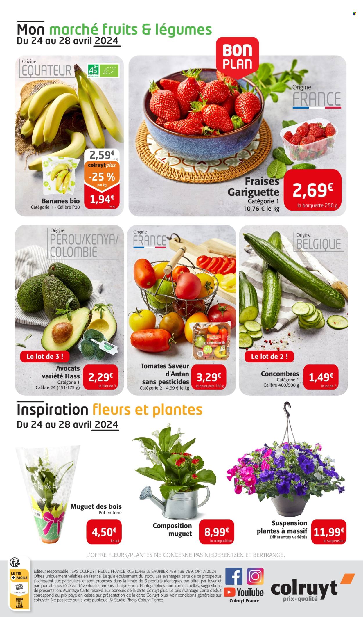 thumbnail - Catalogue Colruyt - 24/04/2024 - 05/05/2024 - Produits soldés - avocat, bananes, tomates, concombre, Saveur d'Antan, fleur, plantes vivaces. Page 32.
