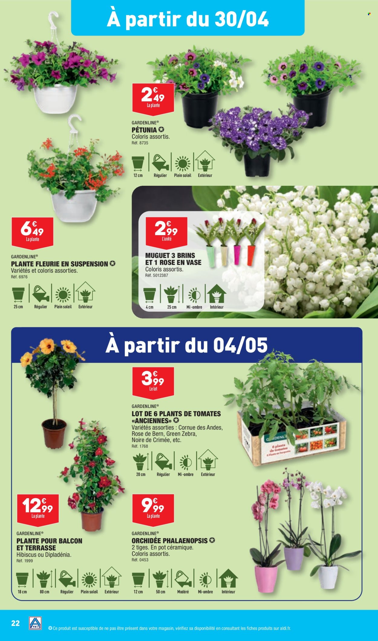 thumbnail - Catalogue ALDI - 30/04/2024 - 06/05/2024 - Produits soldés - orchidée, plante fleurie, dipladenia, hibiscus. Page 24.