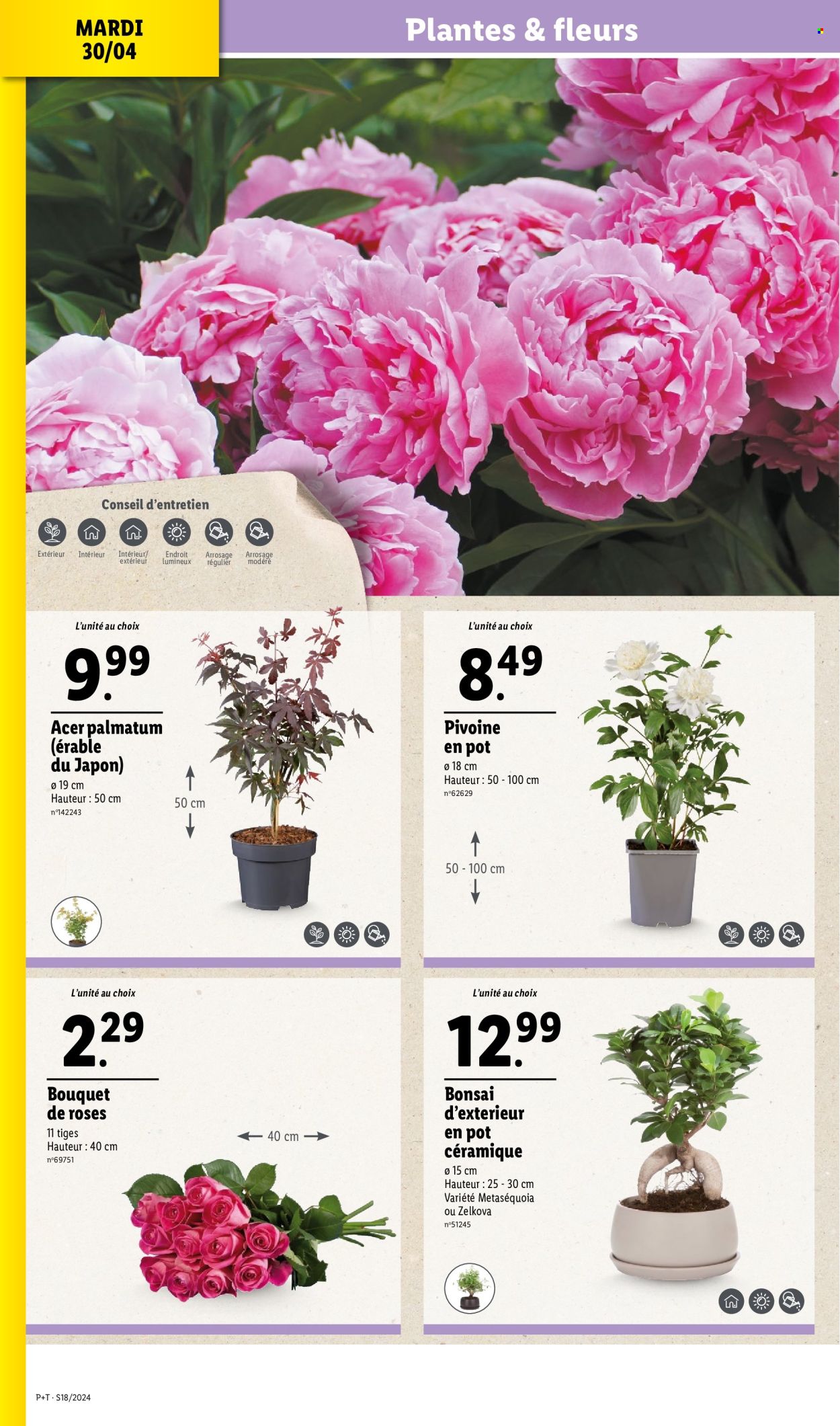 thumbnail - Catalogue Lidl - 30/04/2024 - 07/05/2024 - Produits soldés - fleur, pivoine, bouquet, bonsai. Page 2.