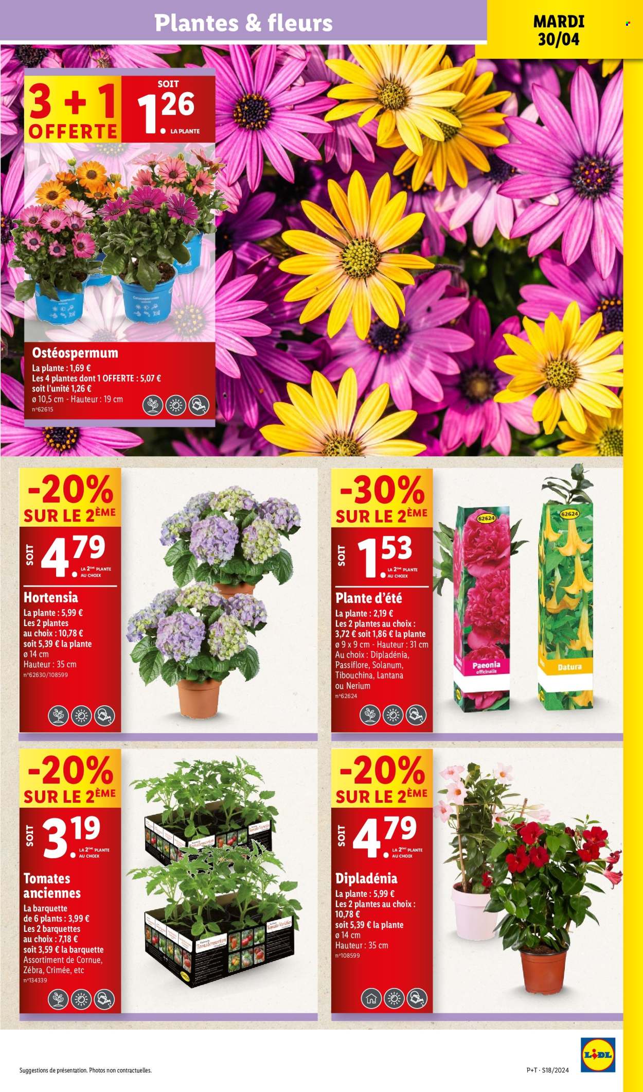 thumbnail - Catalogue Lidl - 30/04/2024 - 07/05/2024 - Produits soldés - tomates, fleur, hortensia, dipladenia. Page 3.