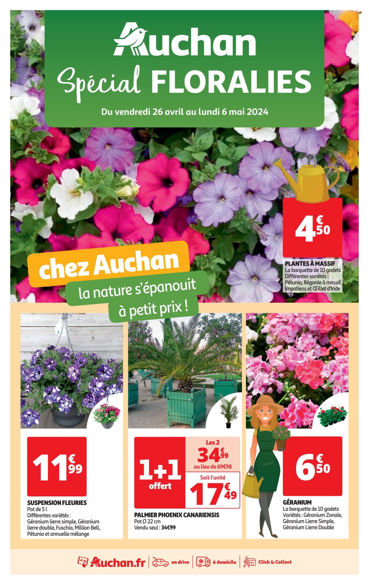 thumbnail - Catalogue Auchan - 26/04/2024 - 06/05/2024 - Produits soldés - fleur, palmier, plantes vivaces, phoenix canariensis. Page 1.