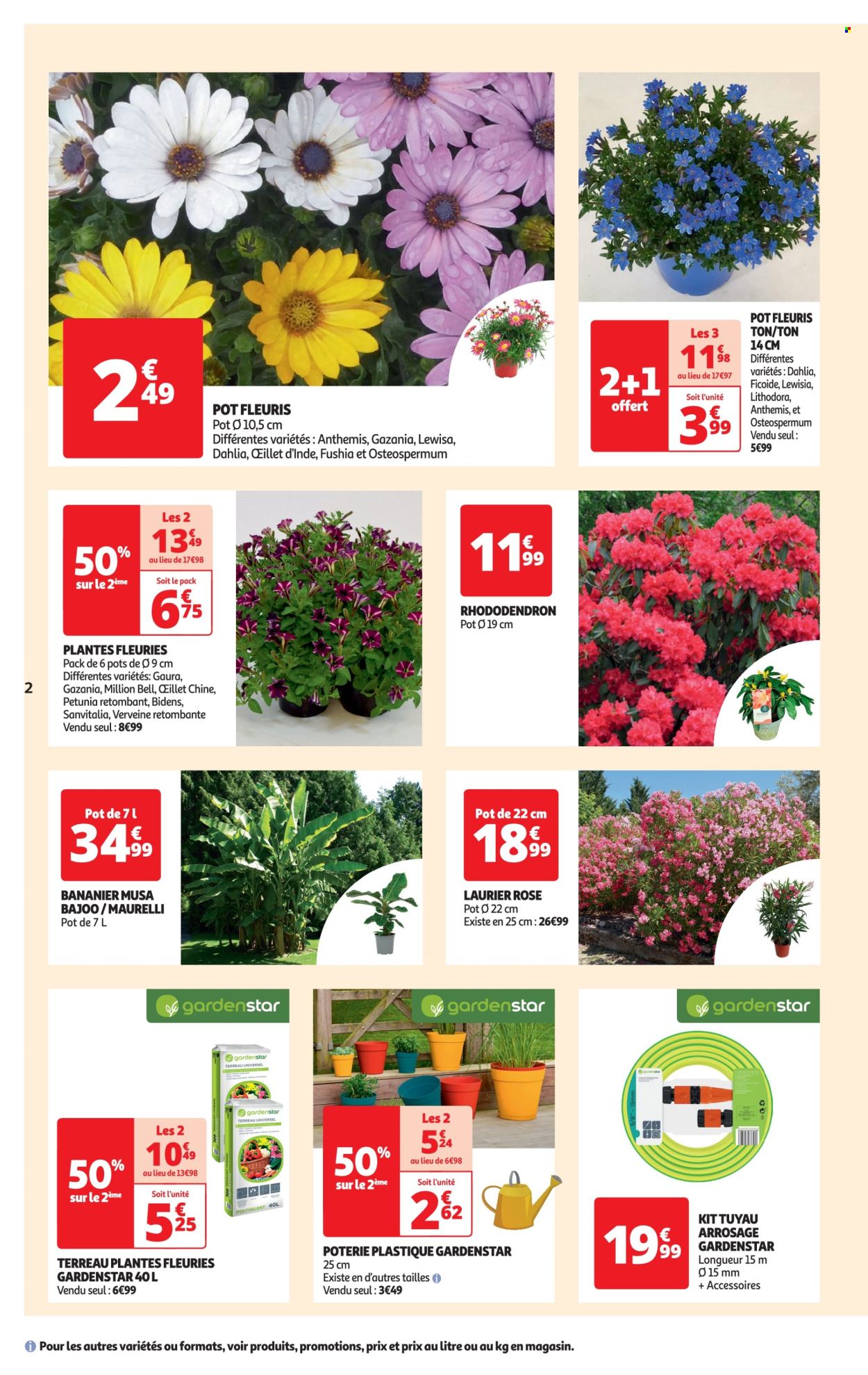 thumbnail - Catalogue Auchan - 26/04/2024 - 06/05/2024 - Produits soldés - fleur, terreau, rhododendron, laurier rose, plante fleurie, bananier. Page 2.