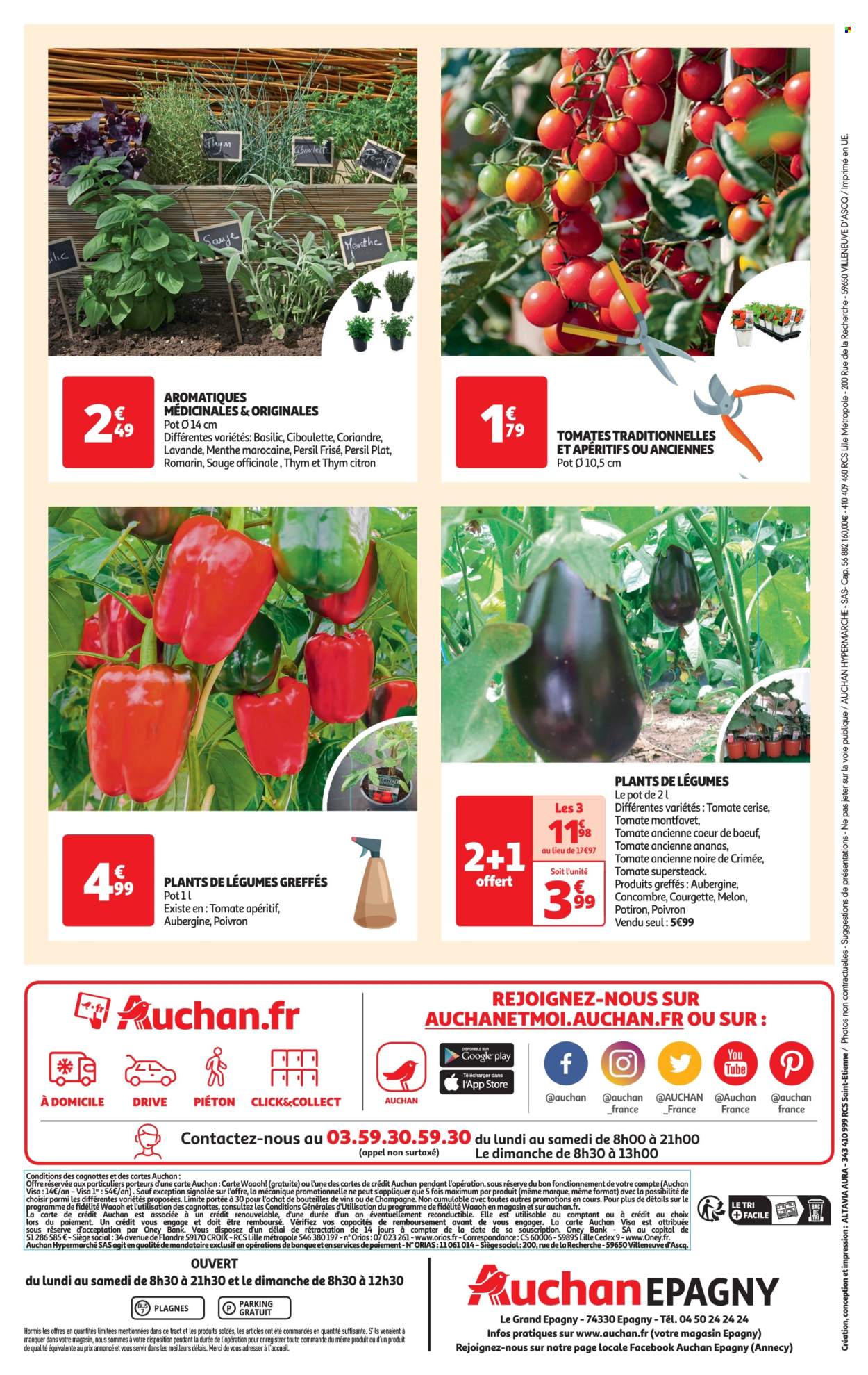 thumbnail - Catalogue Auchan - 26/04/2024 - 06/05/2024 - Produits soldés - tomates, ciboulette, concombre, courgette, potimarron, poivrons, basilic, coriandre, menthe, sauge, persil, romarin, vin, lavande. Page 4.
