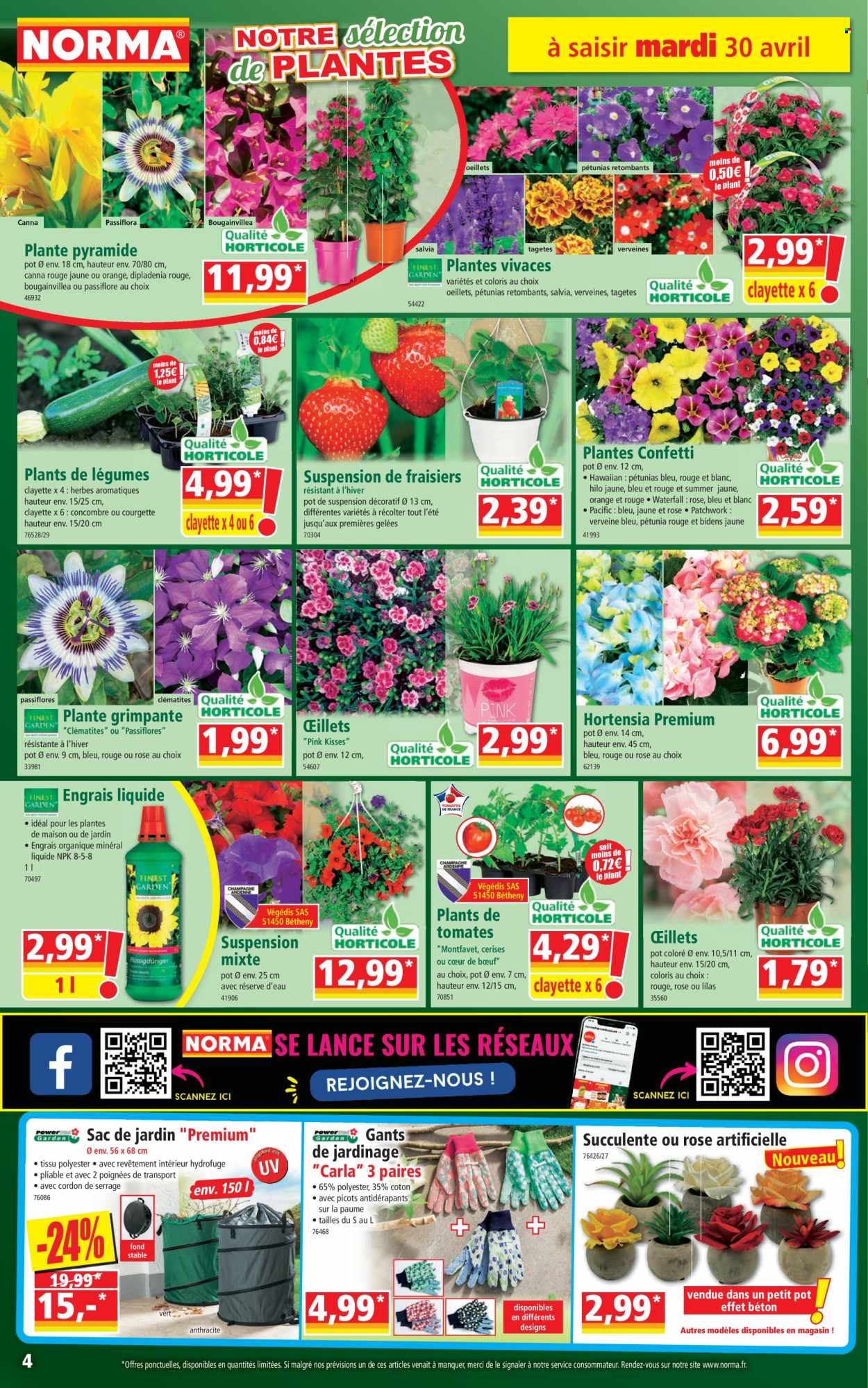 thumbnail - Catalogue Norma - 03/05/2024 - 06/05/2024 - Produits soldés - fraisier, concombre, courgette, sac, succulente, hortensia, engrais, plantes vivaces, plante grimpante, dipladenia. Page 4.
