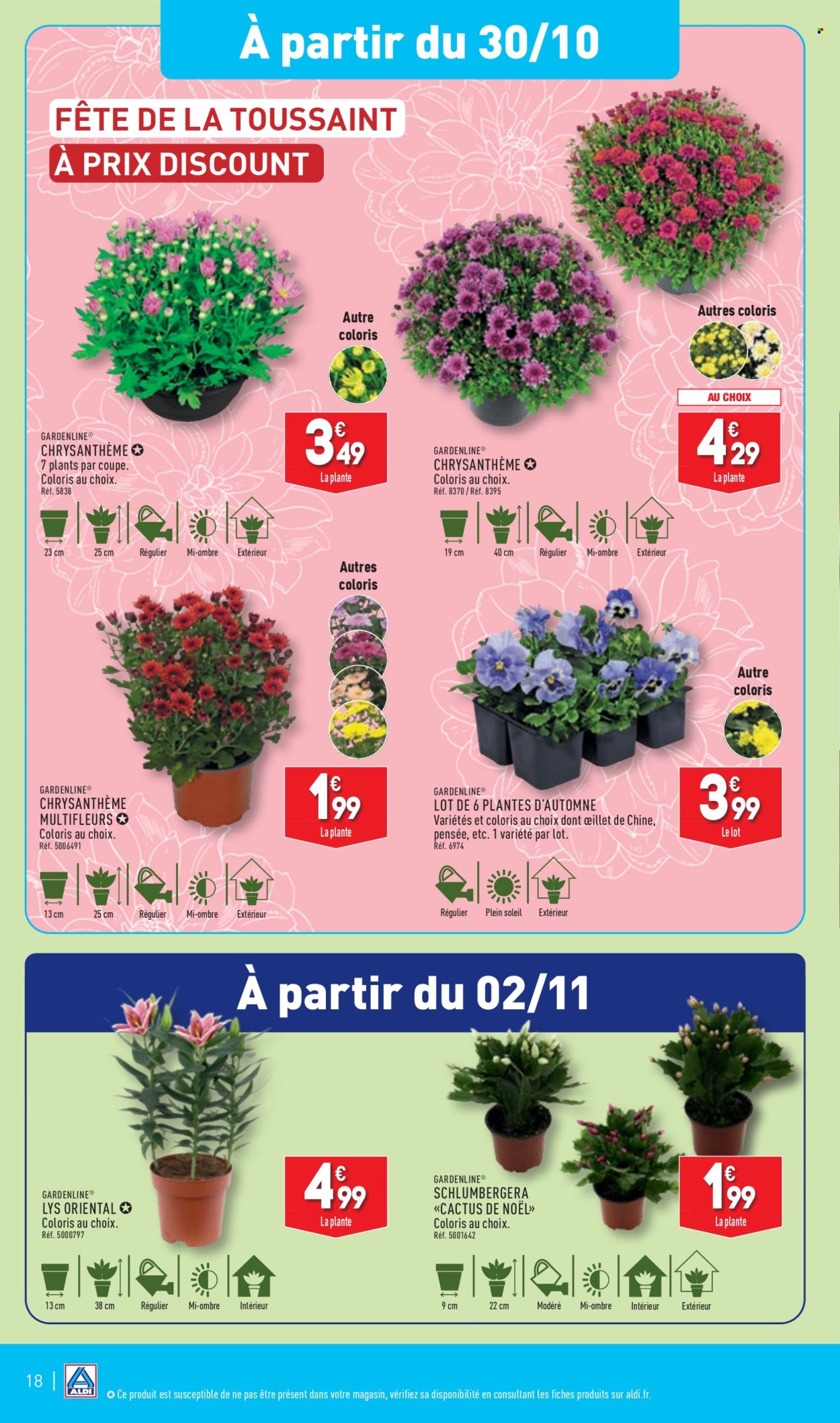 Catalogue ALDI - 29/10/2024 - 04/11/2024. Page 20