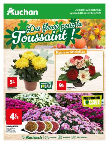 Catalogue Auchan - 22/10/2024 - 01/11/2024.