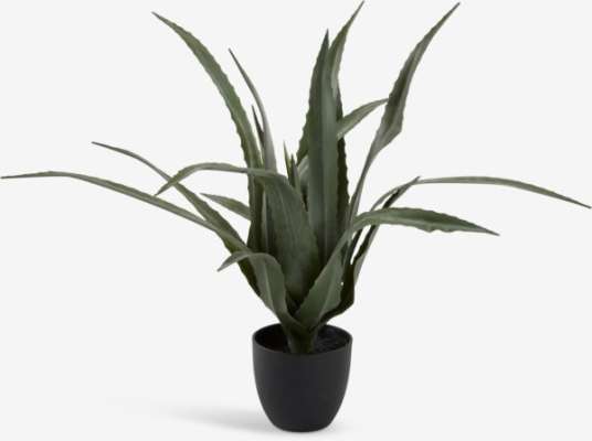 Plante artificielle CELIUS H65cm aloe vera