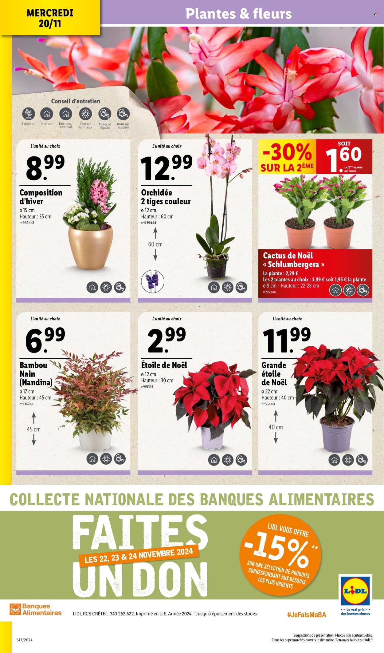 Catalogue Lidl - 20/11/2024 - 26/11/2024. Page 1