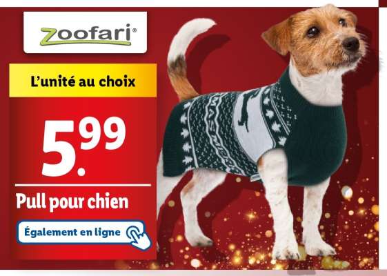 Pull pour chien