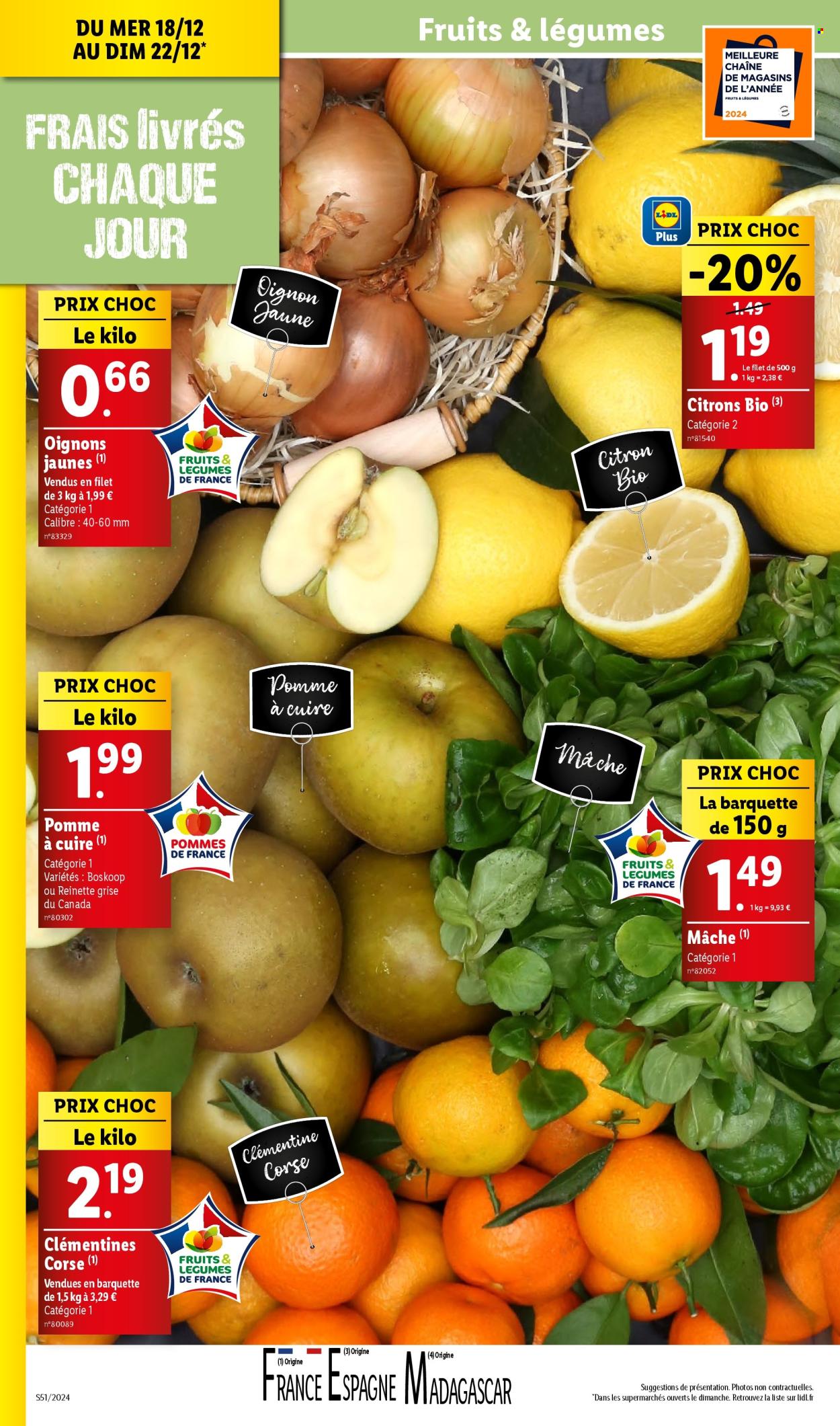 Catalogue Lidl - 18/12/2024 - 24/12/2024. Page 1