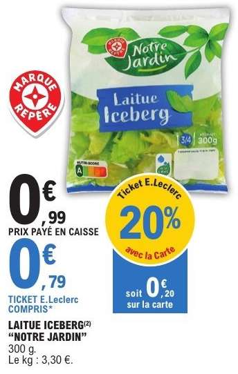 Laitue Iceberg "Notre Jardin"