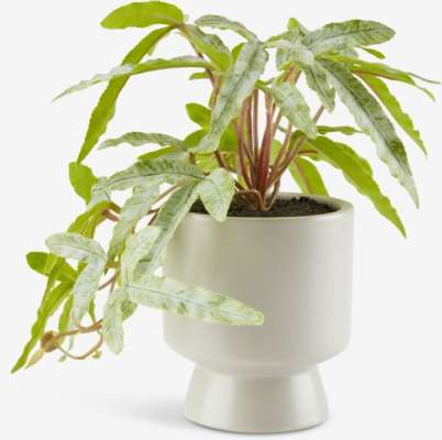 Plante artificielle OLSEN Ø9xH20cm a/pot