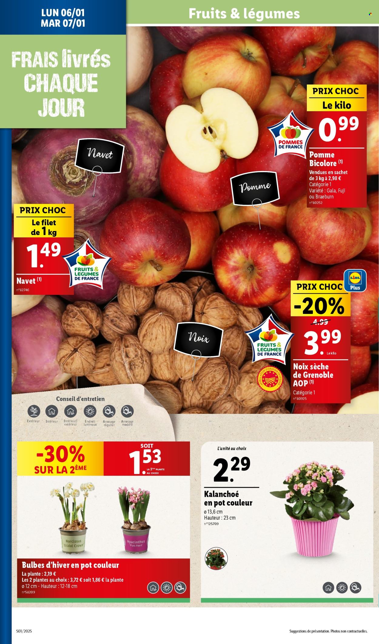 Catalogue Lidl - 02/01/2025 - 07/01/2025. Page 1