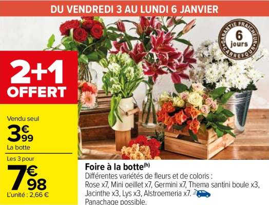 FLEUR Foire à la botte - Différentes variétés de fleurs et de coloris :
Rose x7, Mini oeillet x7, Germini x7, Thema santini boule x3, Jacinthe x3, Lys x3, Alstroemeria x7. Du vendredi 3 au lundi 6 janvier