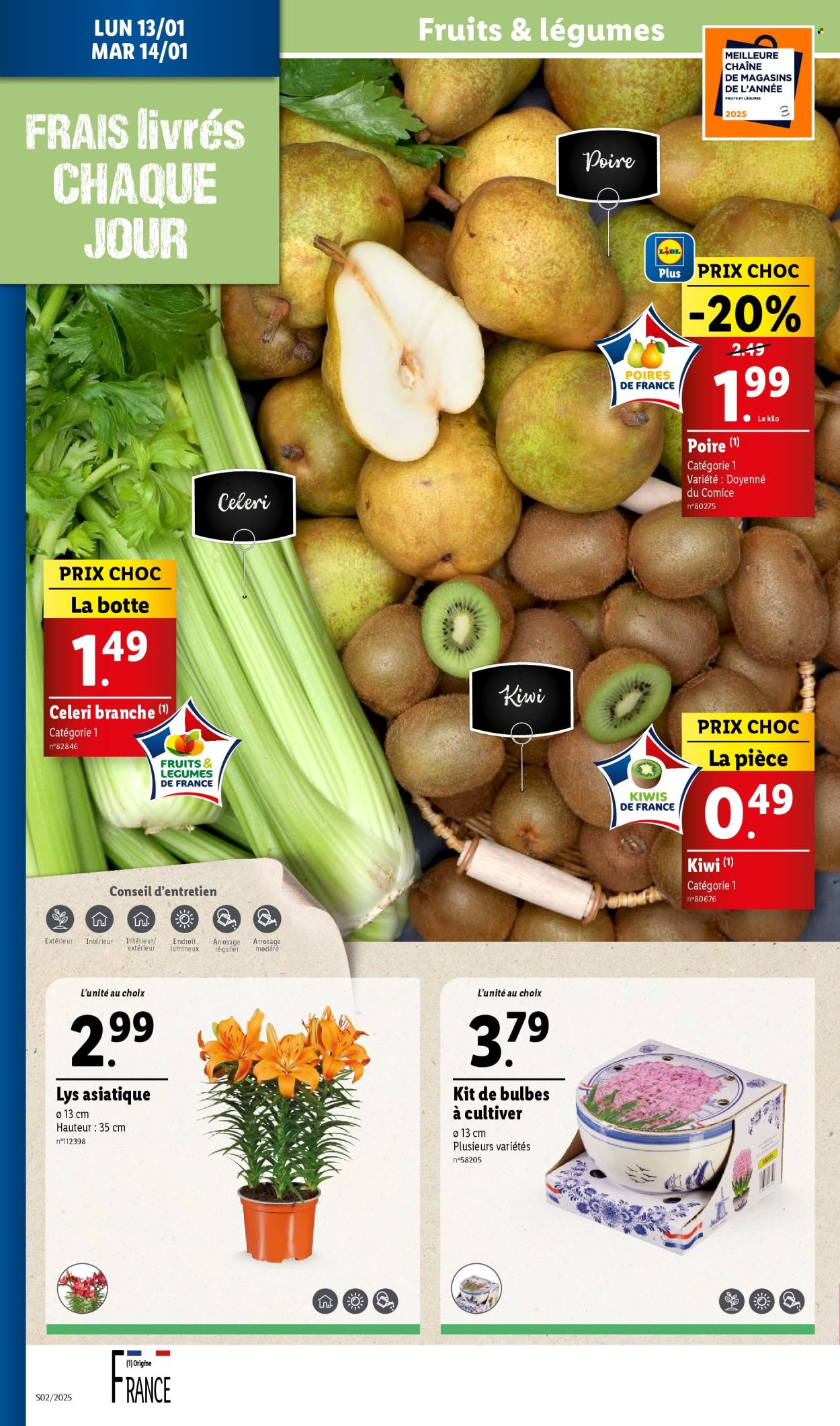 Catalogue Lidl - 08/01/2025 - 14/01/2025. Page 1