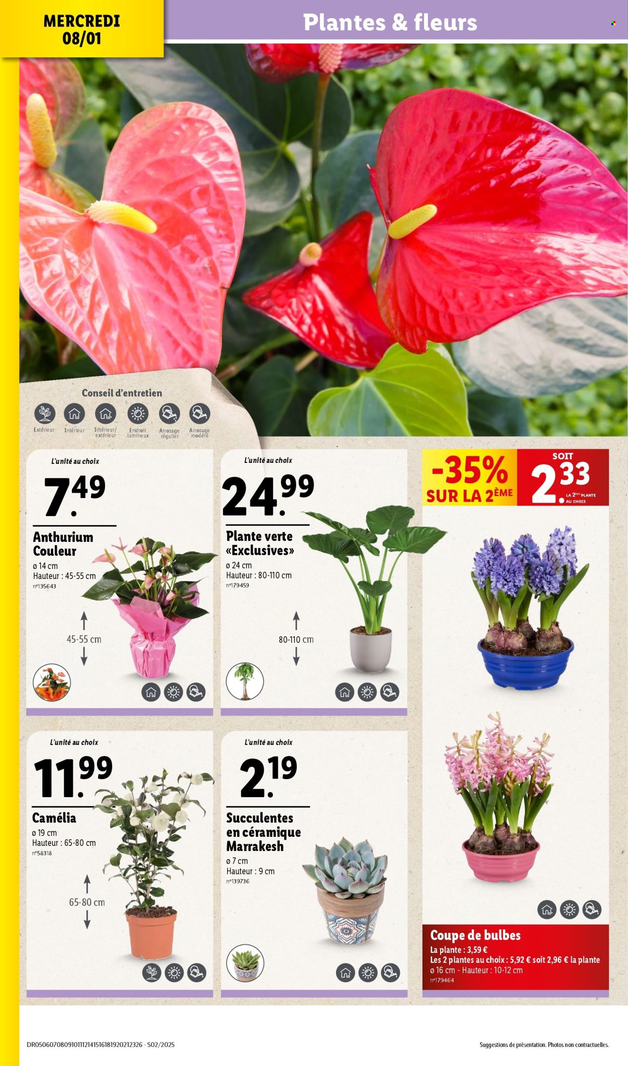 Catalogue Lidl - 08/01/2025 - 14/01/2025. Page 1