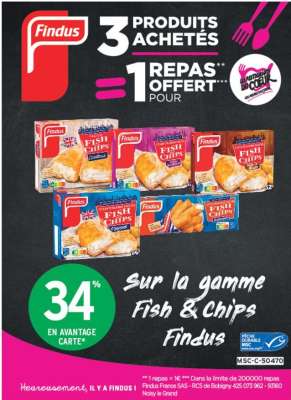 FINDUS 13 BÂTONNETS DE POISSON  FISH&CHIPS MSC SURGELÉS