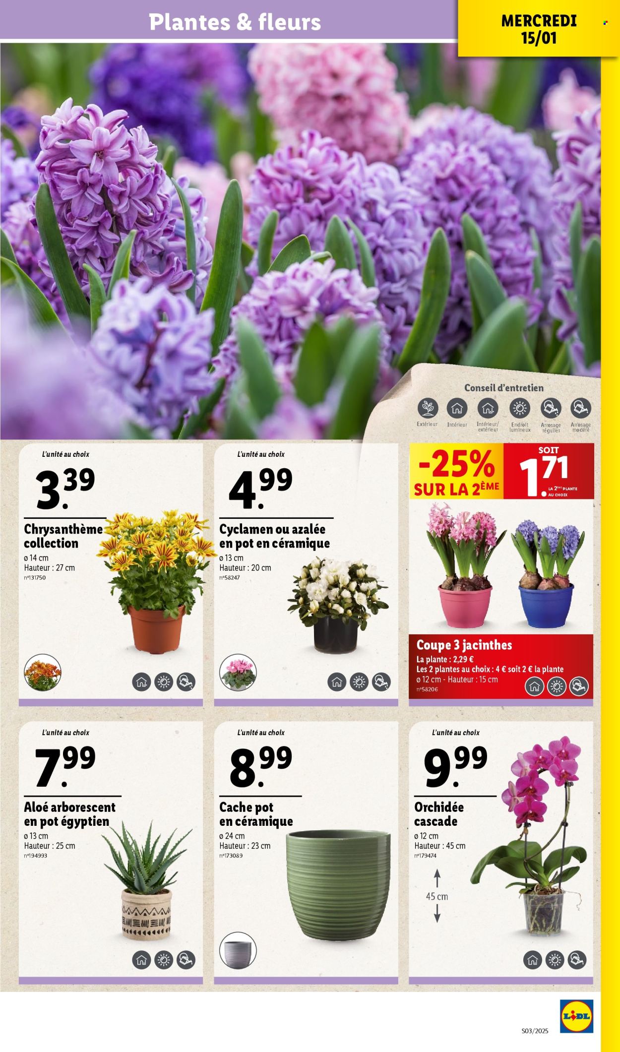 Catalogue Lidl - 15/01/2025 - 21/01/2025. Page 1