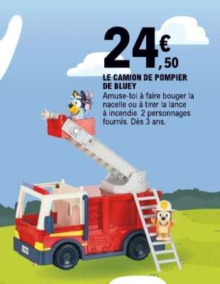 LE CAMION DE POMPIER DE BLUEY
