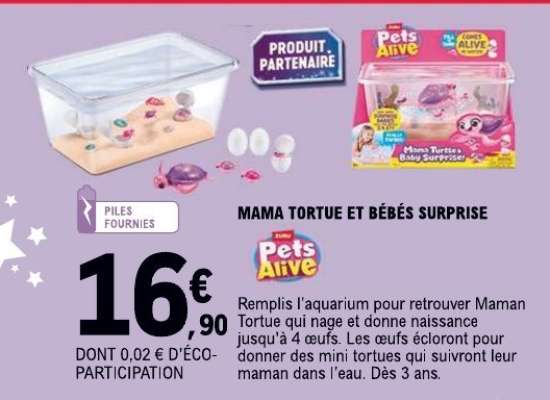 MAMA TORTUE ET BÉBÉS SURPRISE