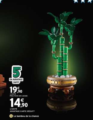 Le bambou de la chance