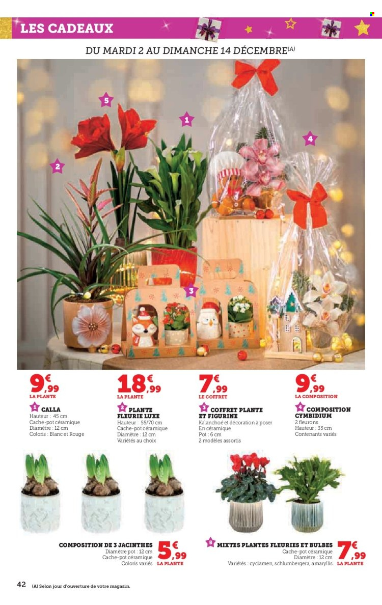 Catalogue SUPER U - 12/11/2025 - 24/12/2025. Page 42