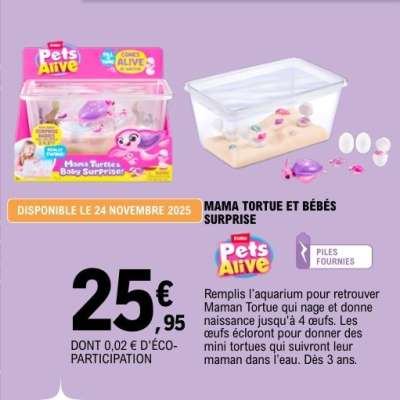 MAMA TORTUE ET BÉBÉS SURPRISE