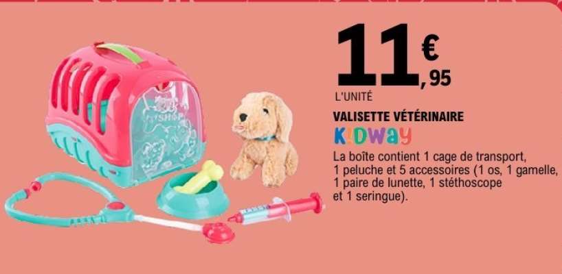 Valisette Vétérinaire