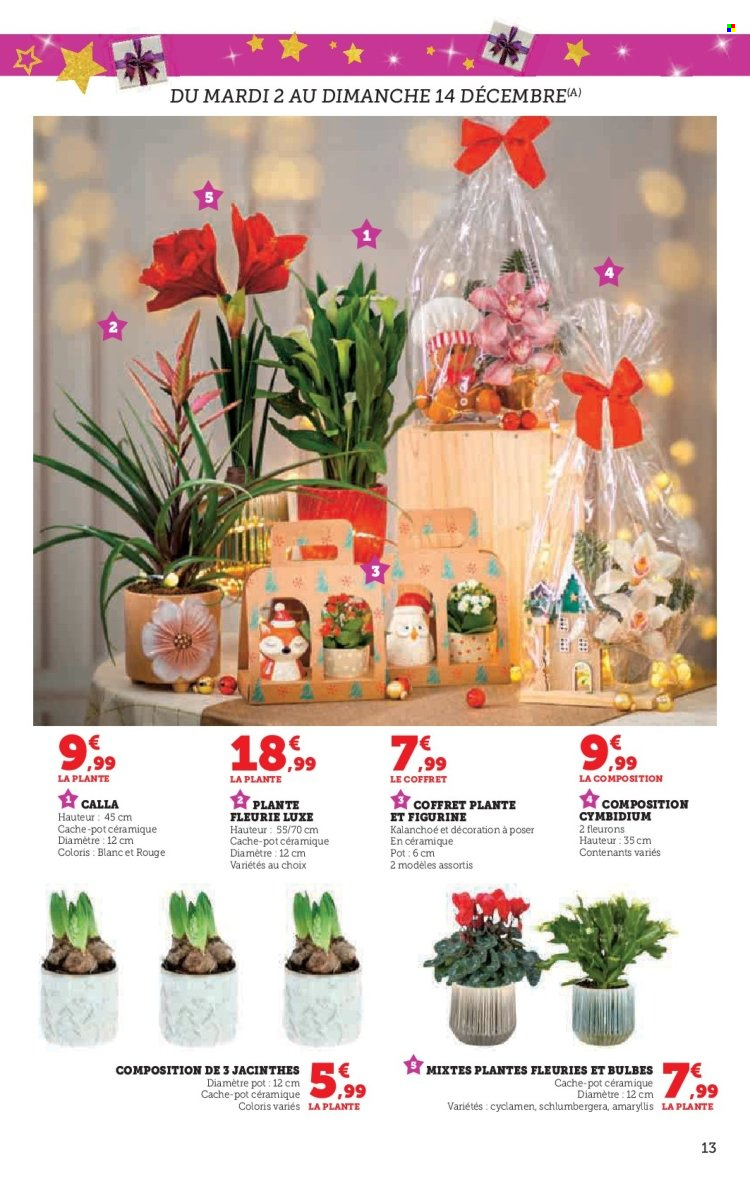 Catalogue SUPER U - 12/11/2025 - 24/12/2025. Page 13