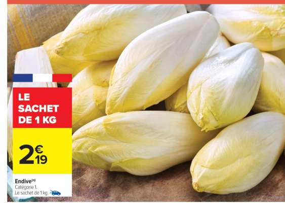 ENDIVE