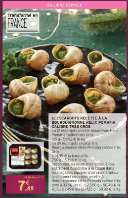 12 ESCARGOTS RECETTE À LA BOURGUIGNONNE HELIX POMATIA CALIBRE TRÈS GROS
