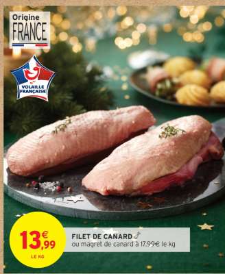 FILET DE CANARD