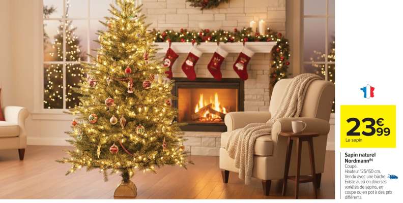 Sapin naturel Nordmann