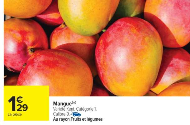 Mangue