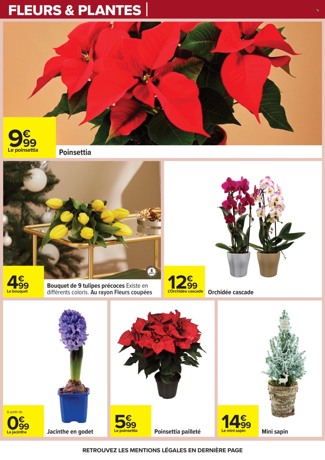 Catalogue Carrefour Hypermarchés - 02/12/2025 - 15/12/2025. Page 79